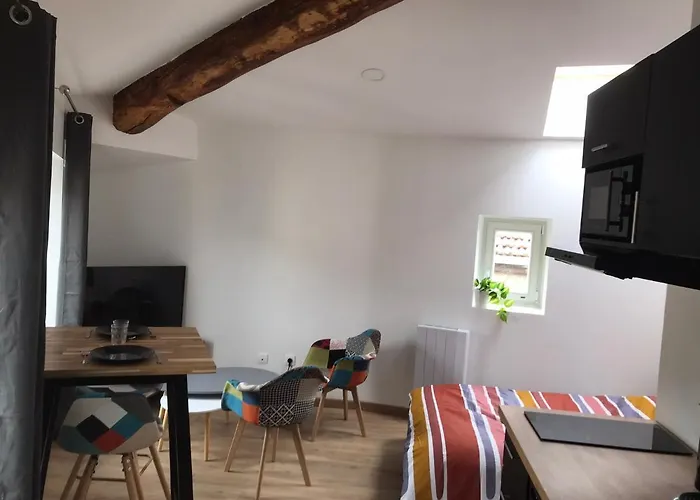 Le Petit Sault - Super Studio Refait A Neuf Proche Des Commerces Naionaln3
